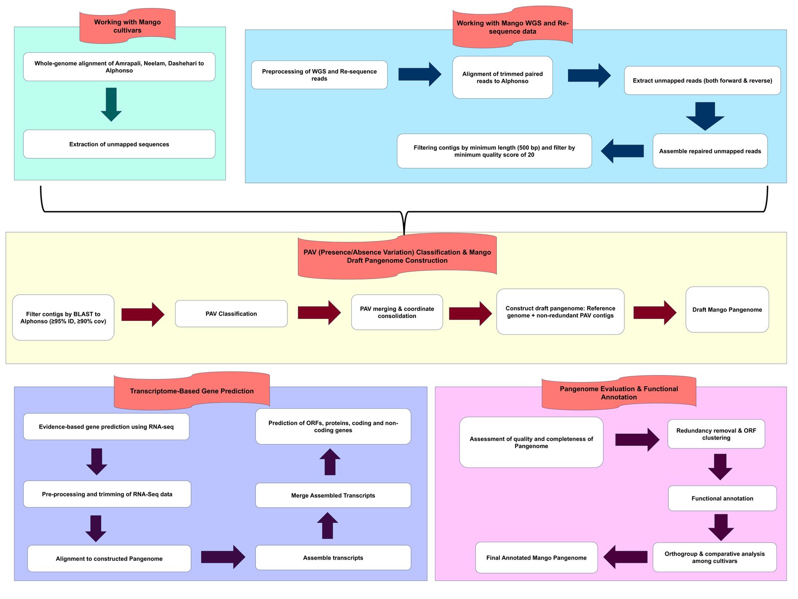 Mango Pangenome Analysis Pipeline