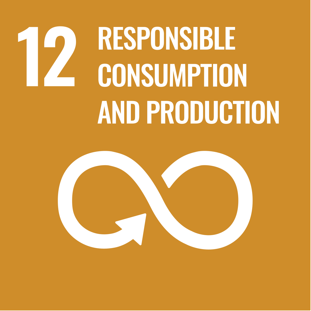SDG 12: Responsible Consumption and Production icon