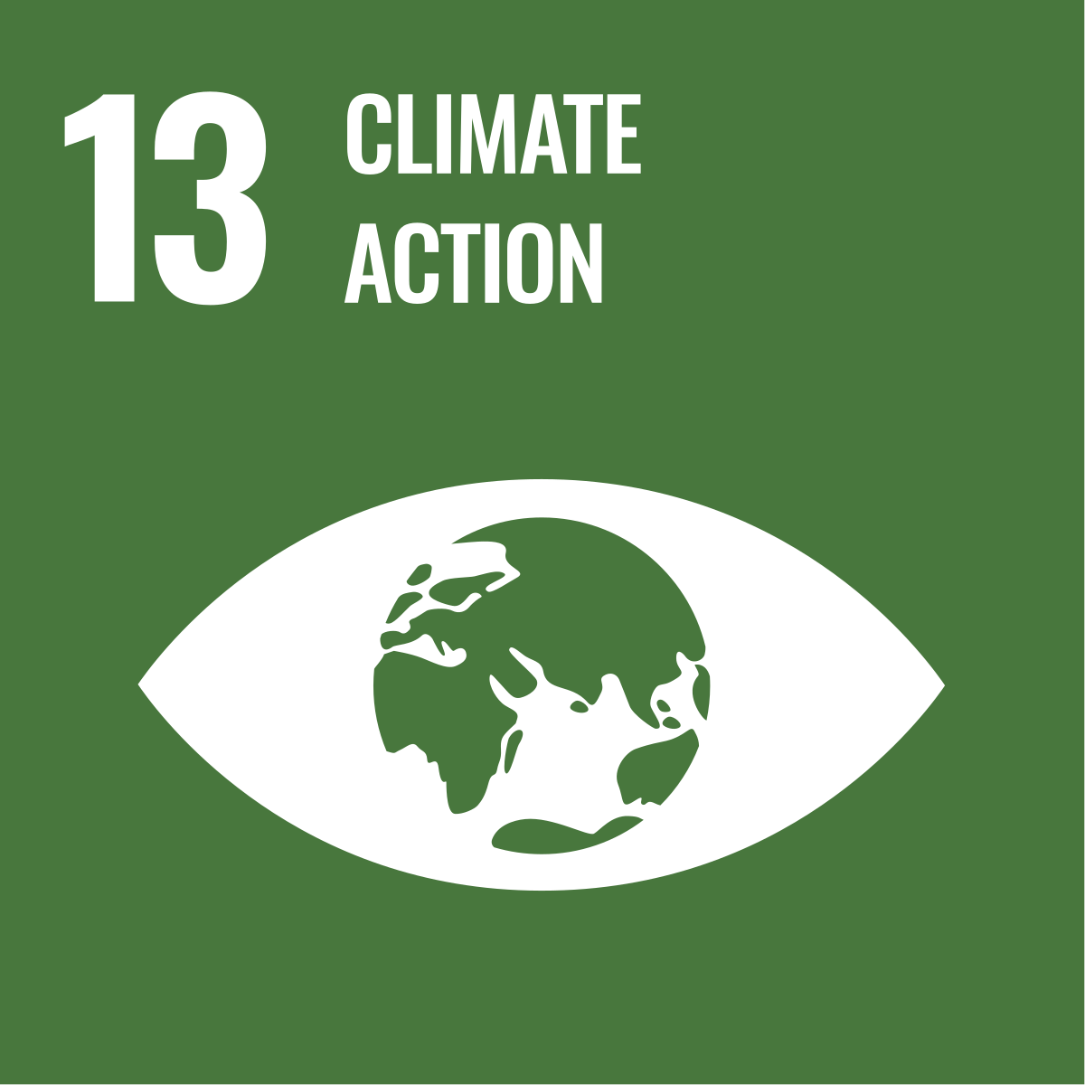 SDG 13: Climate Action icon