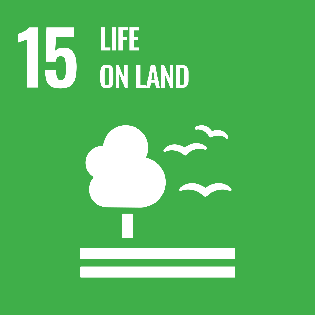 SDG 15: Life on Land icon