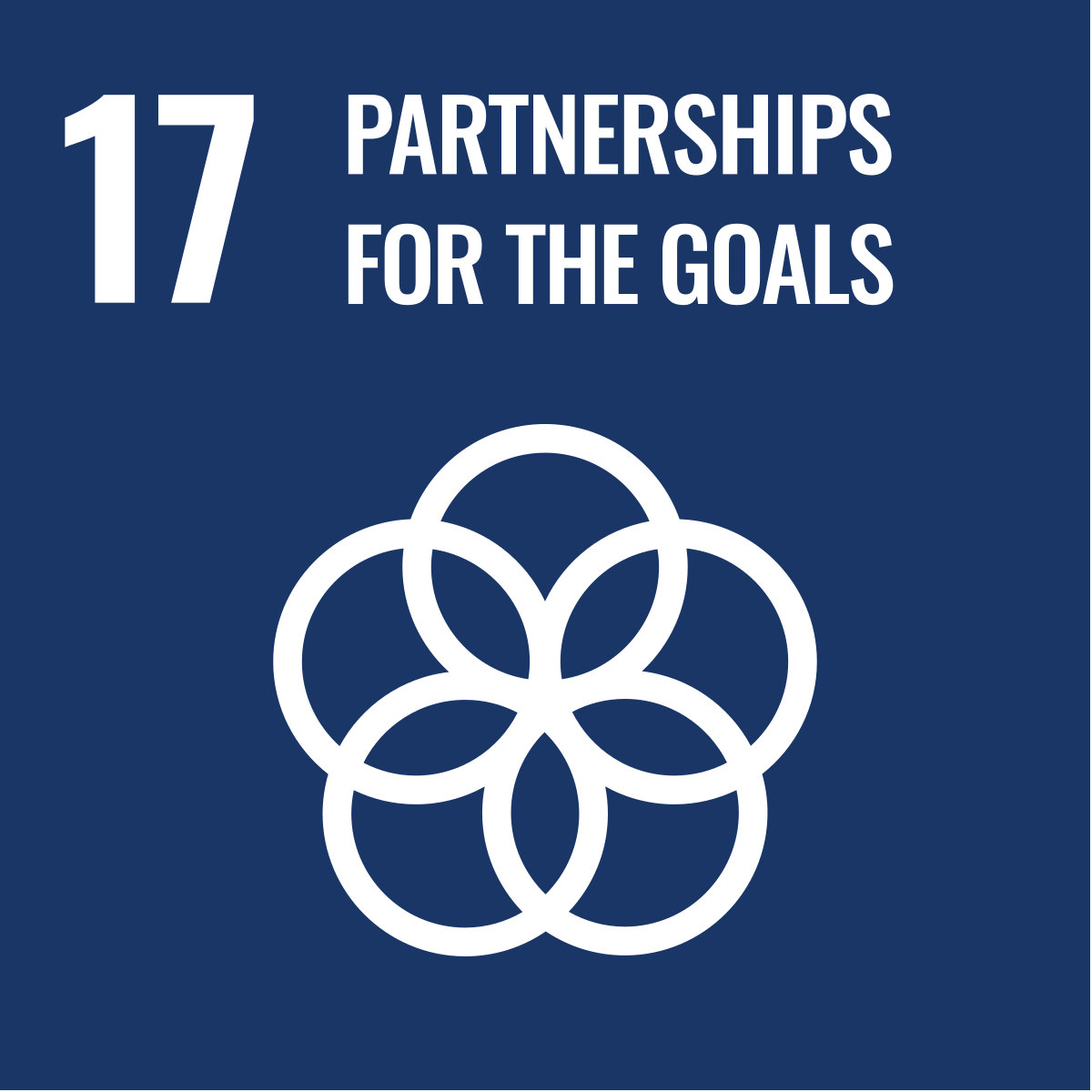 SDG 17: Partnerships for the Goals icon